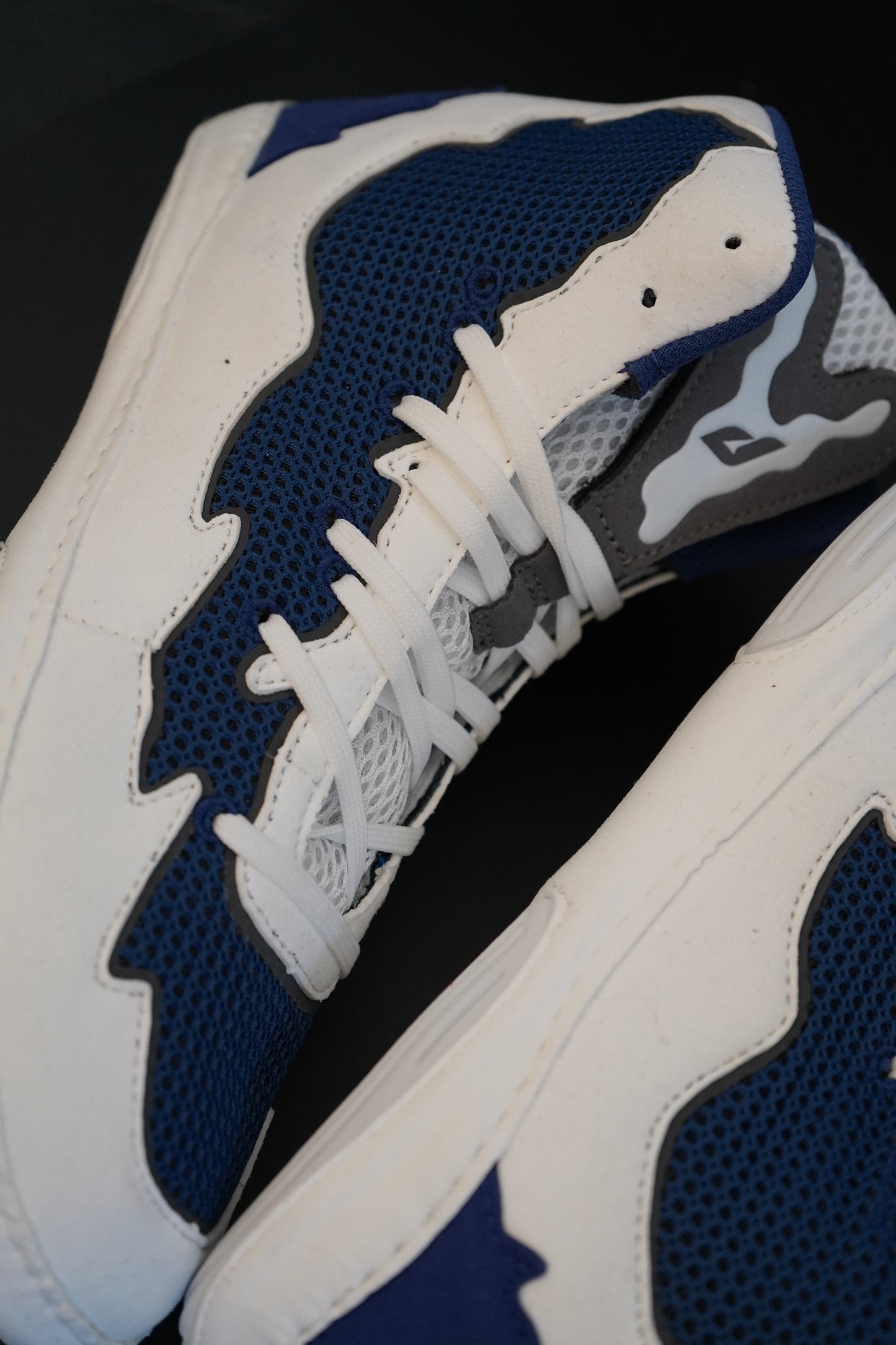 White and Navy Scavengers